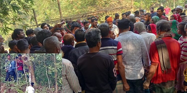 আত্মহত্যা নাকি ঠাণ্ডা মাথার হত্যা? কাপাসিয়ায় জঙ্গলে ঝুলন্ত হিরণের মরদেহ ঘিরে রহস্য