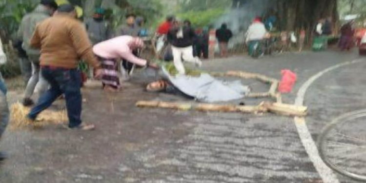 চুয়াডাঙ্গায় বালির ট্রাক ও মাছবাহী গাড়ির মুখোমুখি সংঘর্ষে নিহত ১