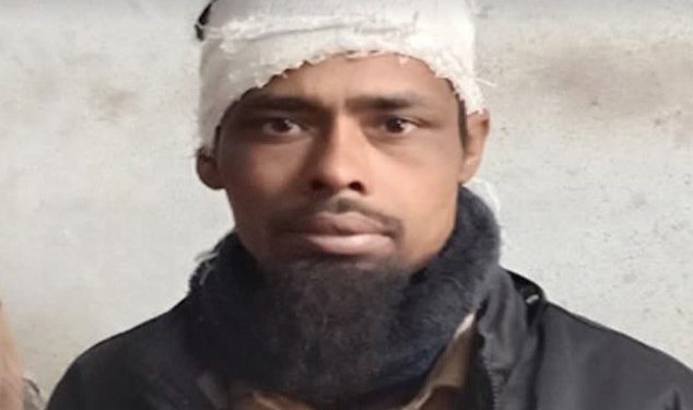 চুয়াডাঙ্গার জীবননগর হরিহরনগরে উচ্চ শব্দে সাউন্ড বক্স বাজিয়ে পিকনিকের প্রতিবাদ করায় স্বামী-স্ত্রীকে পিটিয়ে জখম